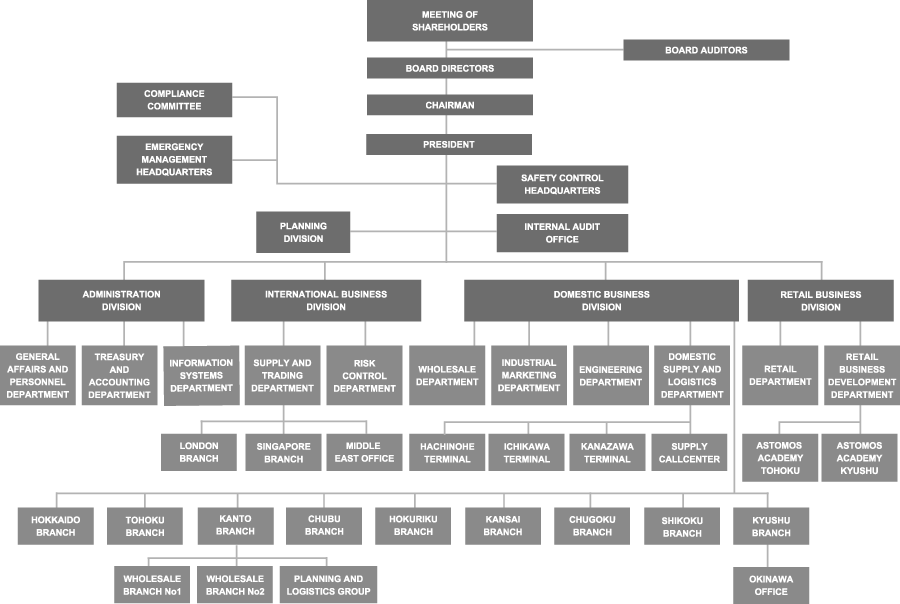 ORGANIZATION CHART OF ASTOMOS ENERGY CORPORATION